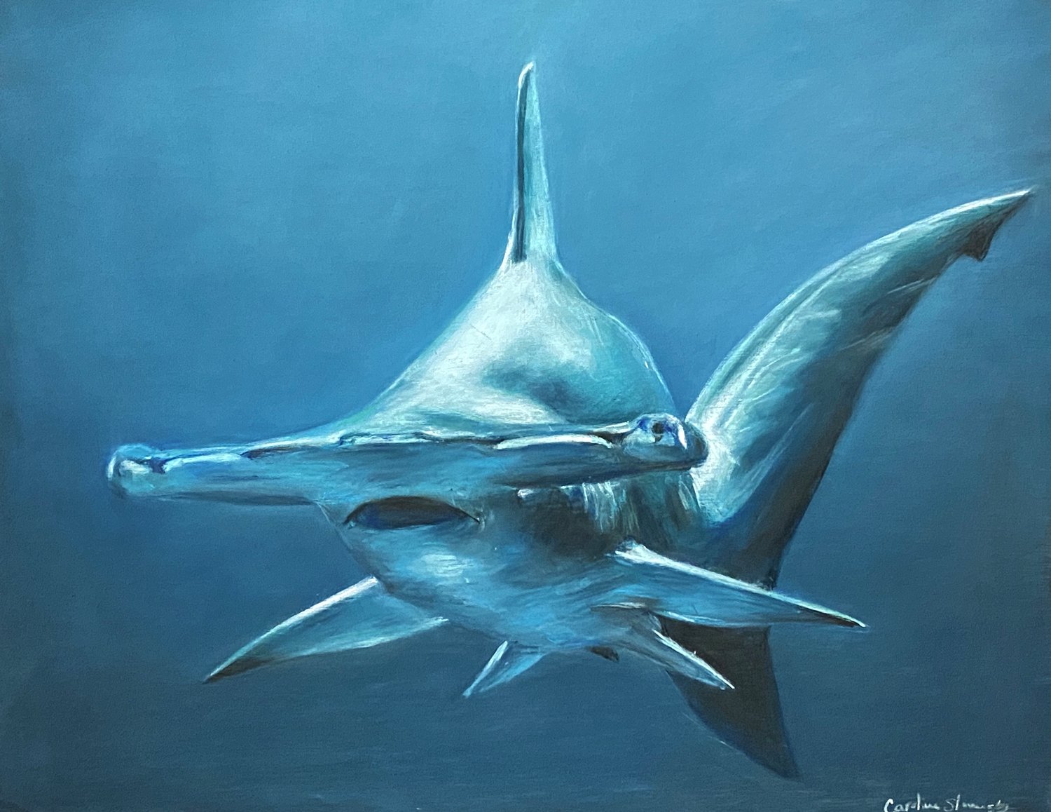 “Moonlit Hammerhead” is a highlight of Caroline Slovensky’s series of marine animal portraits. Her unique style of pastel on wood creates an extra depth to her medium of choice.